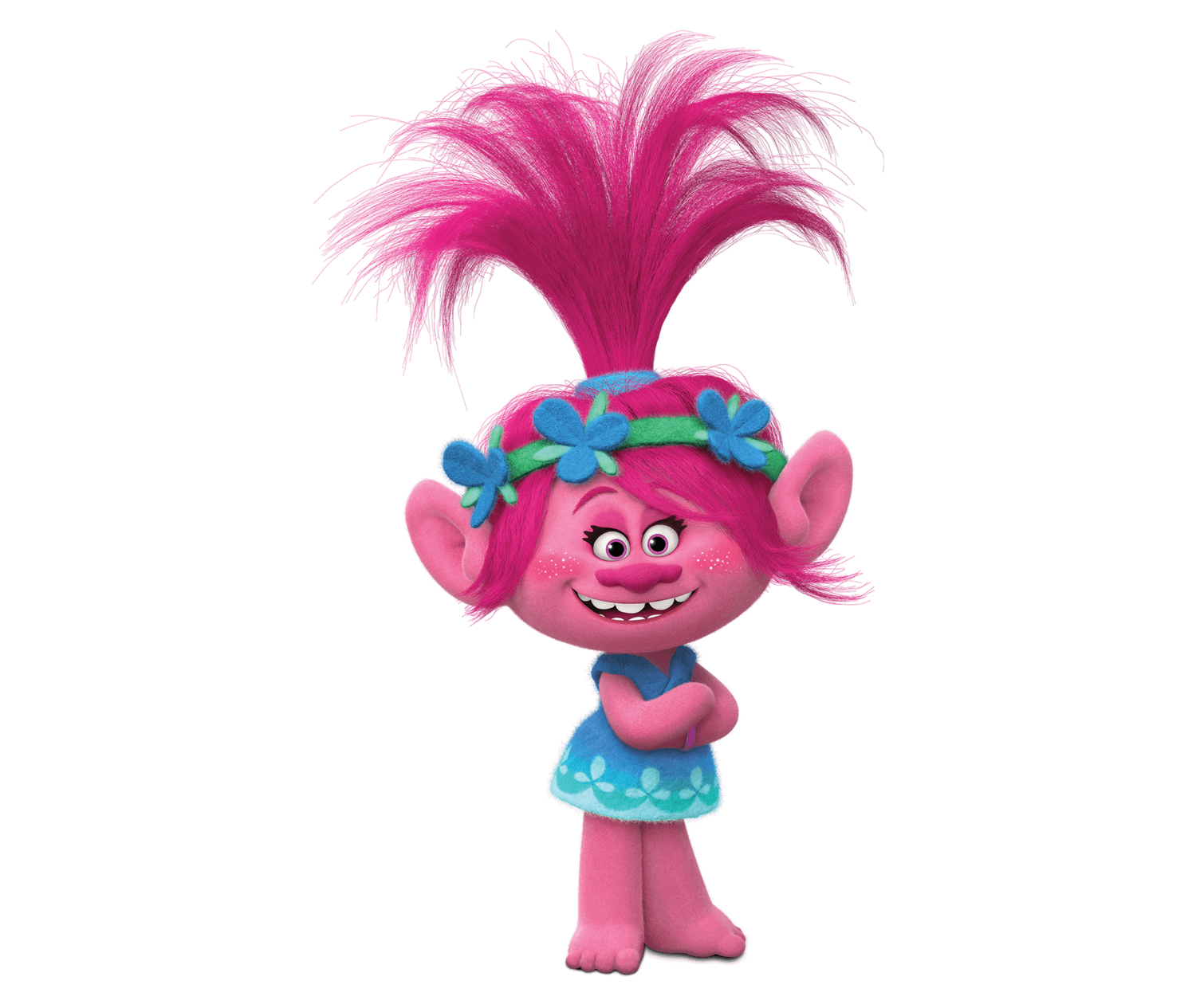 icon - /uploads/s/b/i/4/bi49bruypdkv/img/full_t5DI04A7.png